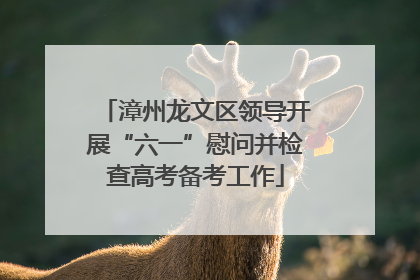 漳州龙文区领导开展“六一”慰问并检查高考备考工作