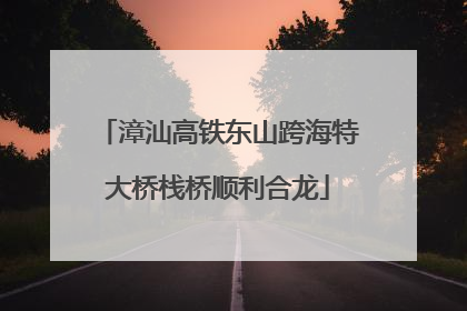 漳汕高铁东山跨海特大桥栈桥顺利合龙