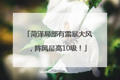 菏泽局部有雷暴大风，阵风最高10级！