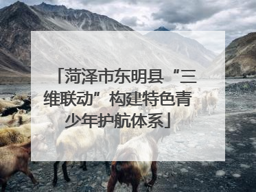 菏泽市东明县“三维联动”构建特色青少年护航体系