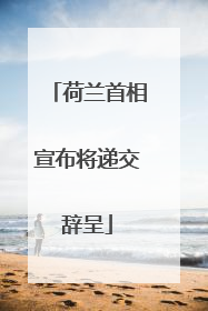 荷兰首相宣布将递交辞呈