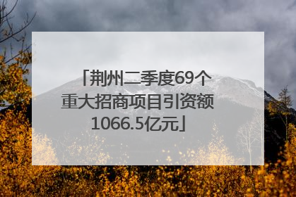 荆州二季度69个重大招商项目引资额1066.5亿元
