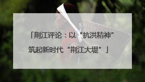 荆江评论：以“抗洪精神”筑起新时代“荆江大堤”