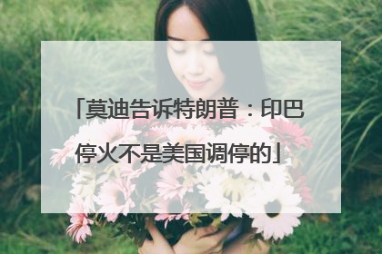 莫迪告诉特朗普：印巴停火不是美国调停的