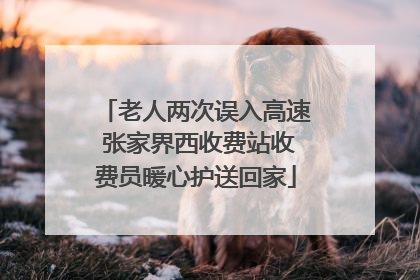 老人两次误入高速 张家界西收费站收费员暖心护送回家