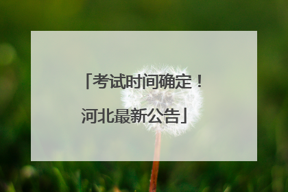 考试时间确定！河北最新公告