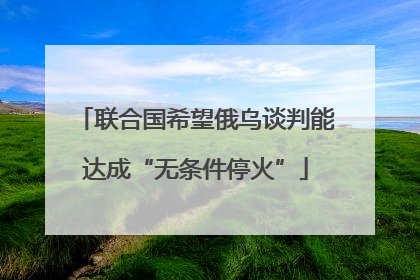 联合国希望俄乌谈判能达成“无条件停火”
