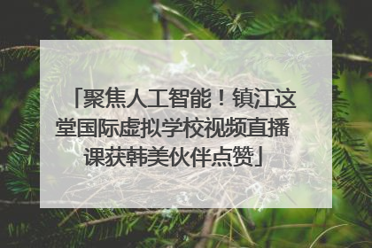 聚焦人工智能！镇江这堂国际虚拟学校视频直播课获韩美伙伴点赞