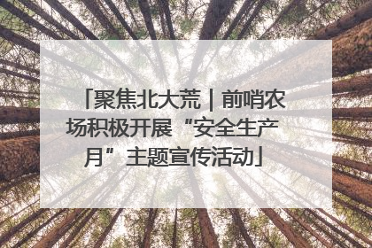 聚焦北大荒｜前哨农场积极开展“安全生产月”主题宣传活动