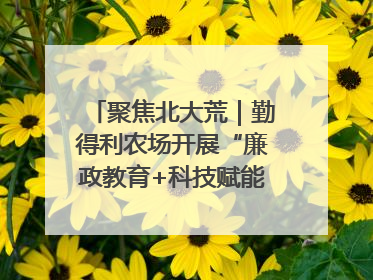 聚焦北大荒｜勤得利农场开展“廉政教育+科技赋能”主题党日活动