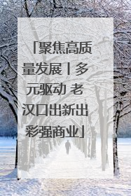 聚焦高质量发展丨多元驱动 老汉口出新出彩强商业