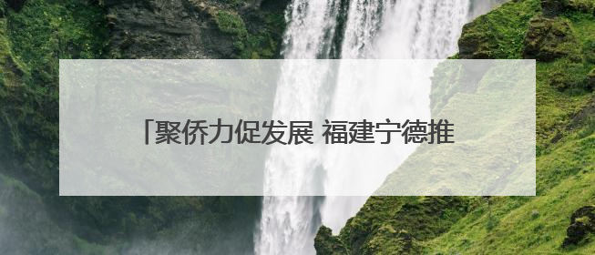聚侨力促发展 福建宁德推进“侨见宁德”品牌建设
