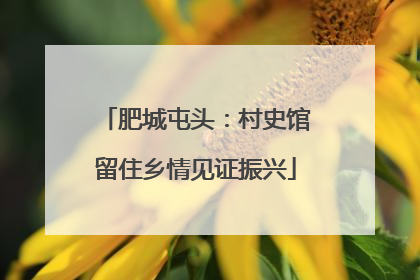 肥城屯头：村史馆留住乡情见证振兴