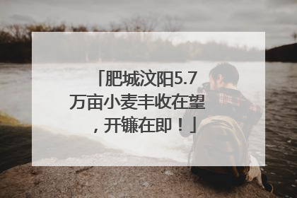 肥城汶阳5.7万亩小麦丰收在望，开镰在即！
