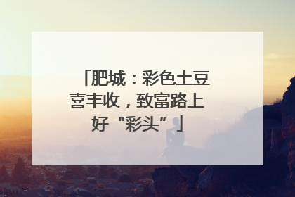 肥城：彩色土豆喜丰收，致富路上好“彩头”