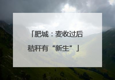肥城：麦收过后秸秆有“新生”