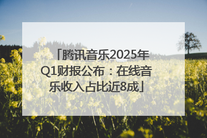 腾讯音乐2025年Q1财报公布：在线音乐收入占比近8成