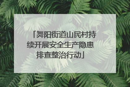 舞阳街道山民村持续开展安全生产隐患排查整治行动