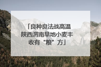 良种良法战高温 陕西渭南旱地小麦丰收有“粮”方