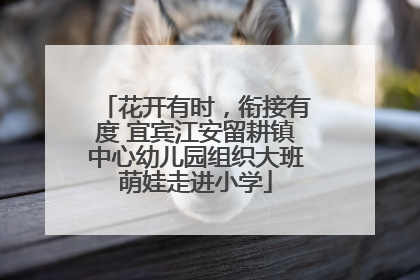 花开有时，衔接有度 宜宾江安留耕镇中心幼儿园组织大班萌娃走进小学
