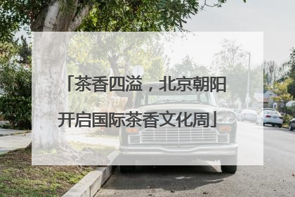 茶香四溢，北京朝阳开启国际茶香文化周
