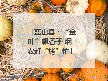 蓝山县：“金叶”飘香季 烟农赶“烤”忙