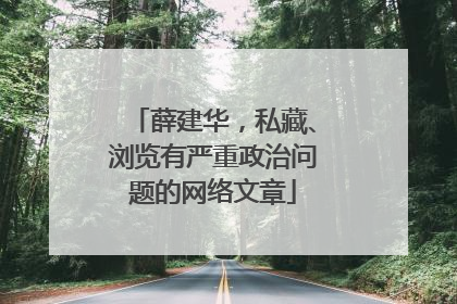 薛建华，私藏、浏览有严重政治问题的网络文章