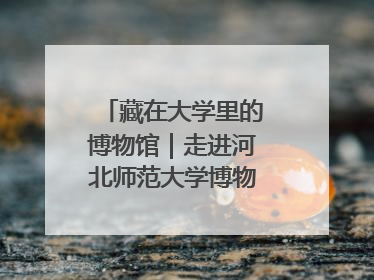 藏在大学里的博物馆｜走进河北师范大学博物馆天地科学馆：在校园里赴一场“宇宙之约”