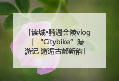 读城•骑遇金陵vlog｜“Citybike”漫游记 邂逅古都新韵