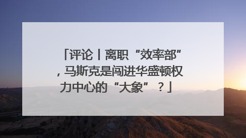 评论丨离职“效率部”，马斯克是闯进华盛顿权力中心的“大象”？