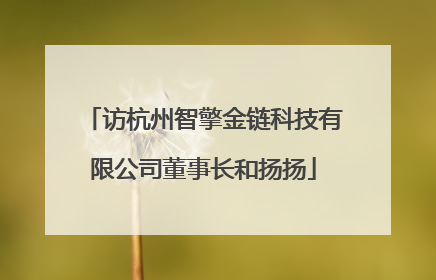 访杭州智擎金链科技有限公司董事长和扬扬