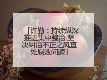 许勤：持续纵深推进集中整治 坚决纠治不正之风查处腐败问题