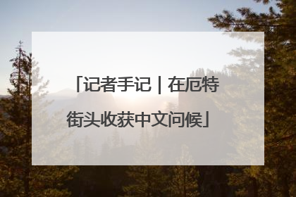 记者手记｜在厄特街头收获中文问候