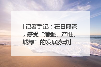 记者手记：在日照港，感受“港强、产旺、城绿”的发展脉动