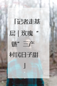记者走基层｜玫瑰“链”三产 村民日子甜