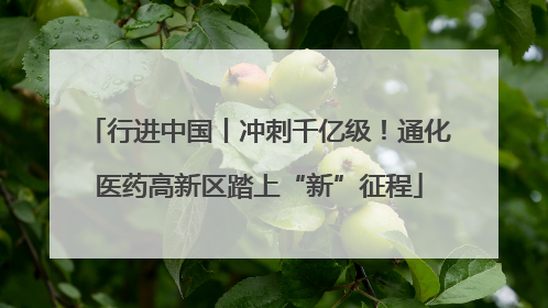 行进中国丨冲刺千亿级！通化医药高新区踏上“新”征程