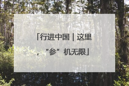 行进中国｜这里，“参”机无限