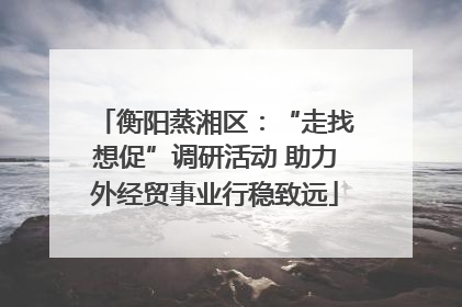 衡阳蒸湘区：“走找想促”调研活动 助力外经贸事业行稳致远