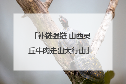 补链强链 山西灵丘牛肉走出太行山