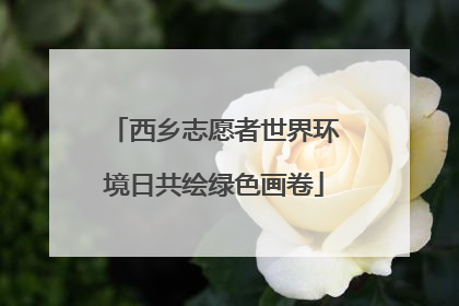 西乡志愿者世界环境日共绘绿色画卷