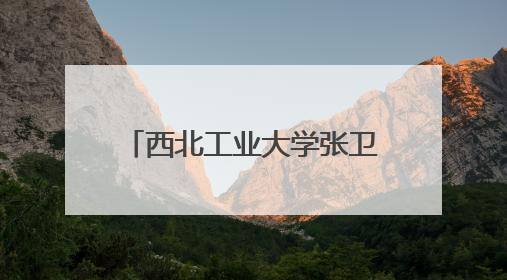 西北工业大学张卫红院士荣获J.N.Reddy奖章