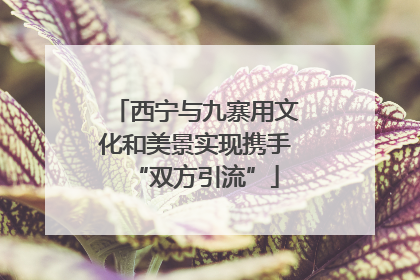 西宁与九寨用文化和美景实现携手“双方引流”