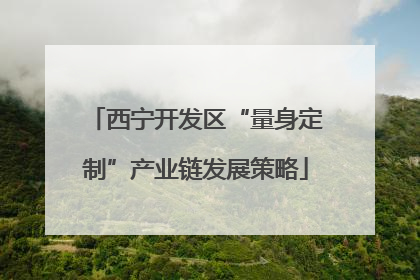 西宁开发区“量身定制”产业链发展策略