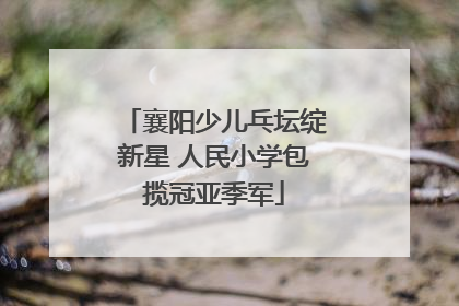 襄阳少儿乓坛绽新星 人民小学包揽冠亚季军