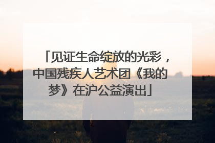 见证生命绽放的光彩，中国残疾人艺术团《我的梦》在沪公益演出
