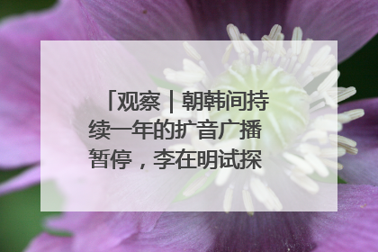 观察｜朝韩间持续一年的扩音广播暂停，李在明试探性将球踢向朝鲜