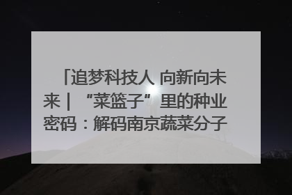 追梦科技人 向新向未来｜“菜篮子”里的种业密码：解码南京蔬菜分子育种的创新之路
