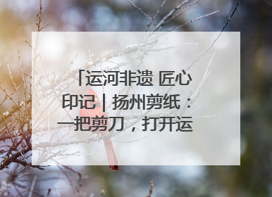 运河非遗 匠心印记｜扬州剪纸：一把剪刀，打开运河千年风韵