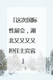 这次国际性展会，湖北又又又又担任主宾省