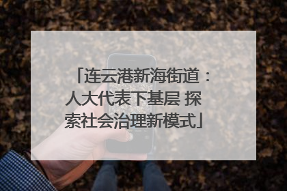连云港新海街道：人大代表下基层 探索社会治理新模式